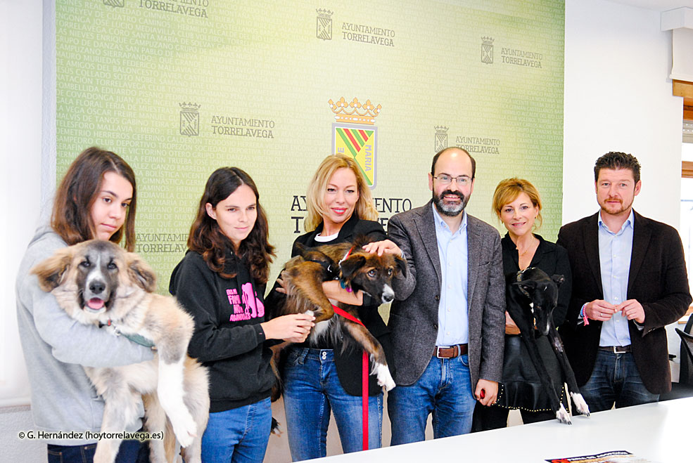 PSOEUrracaFeriaAdopcion2017