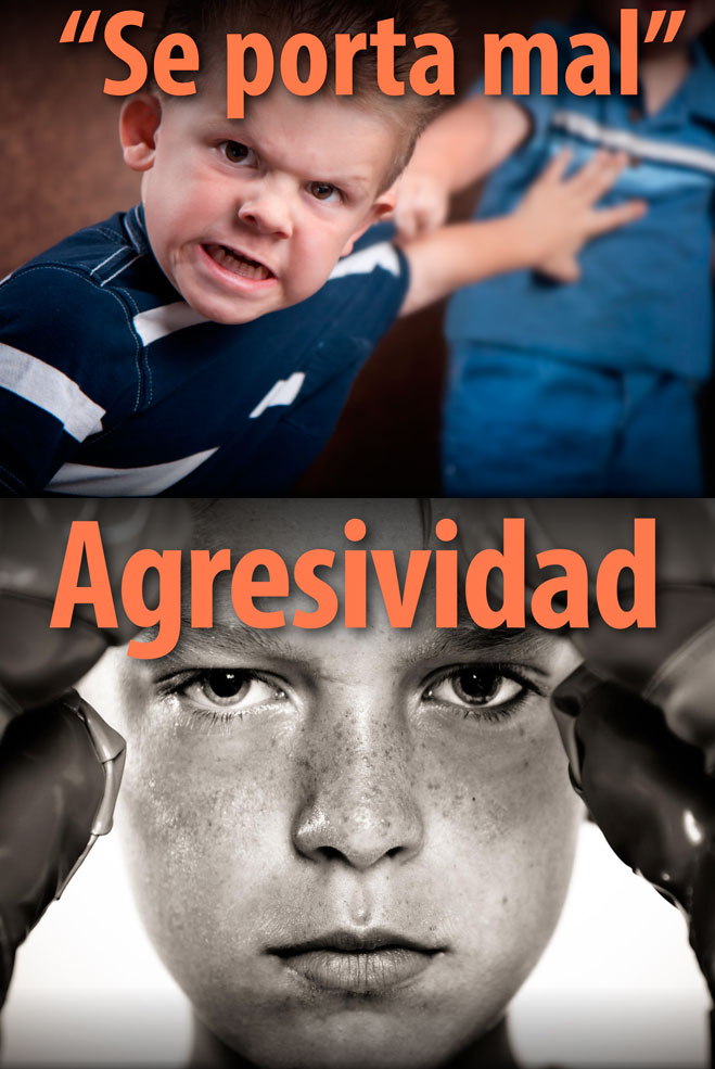 CharlaAgresividad