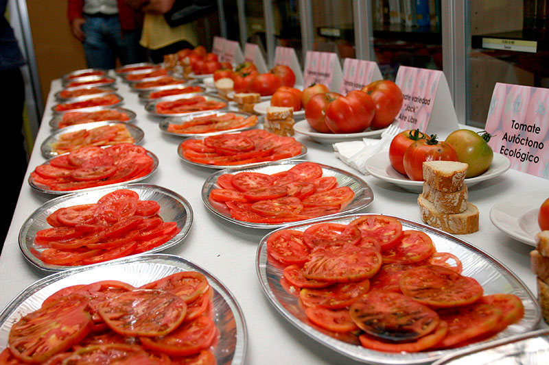 FeriaAlimentacion