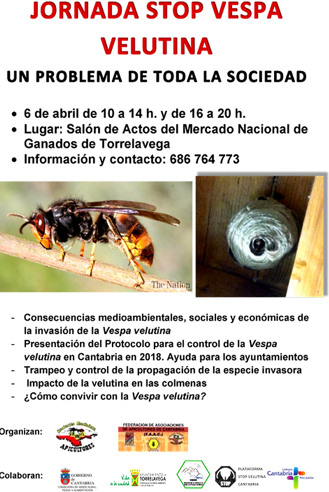 JornadaAvispaVelutina
