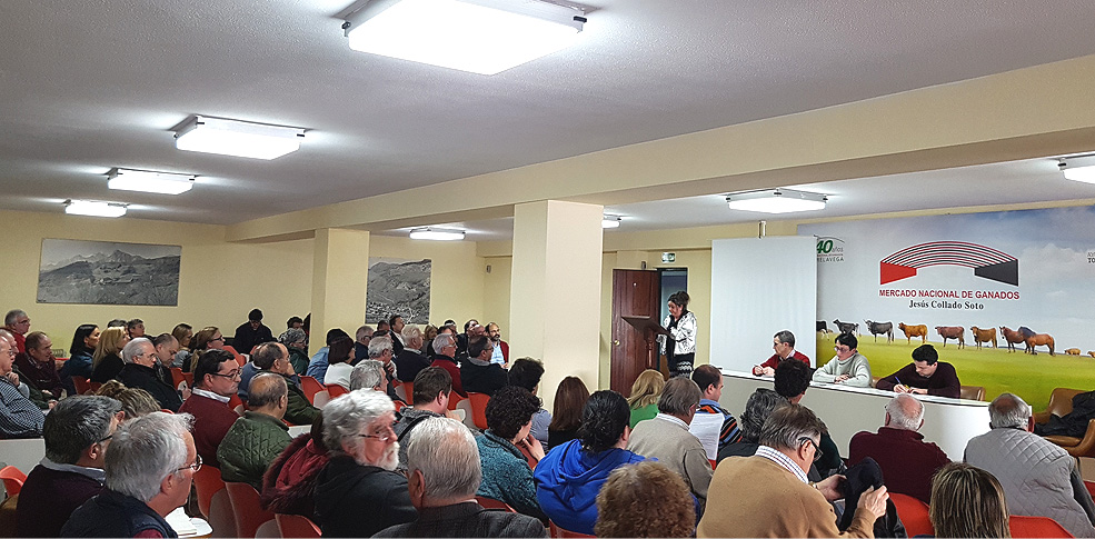 PSOEAsambleaPrimarias