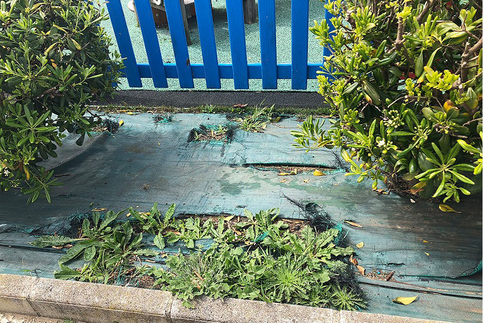 SuancesCiudadanosEstadoparq