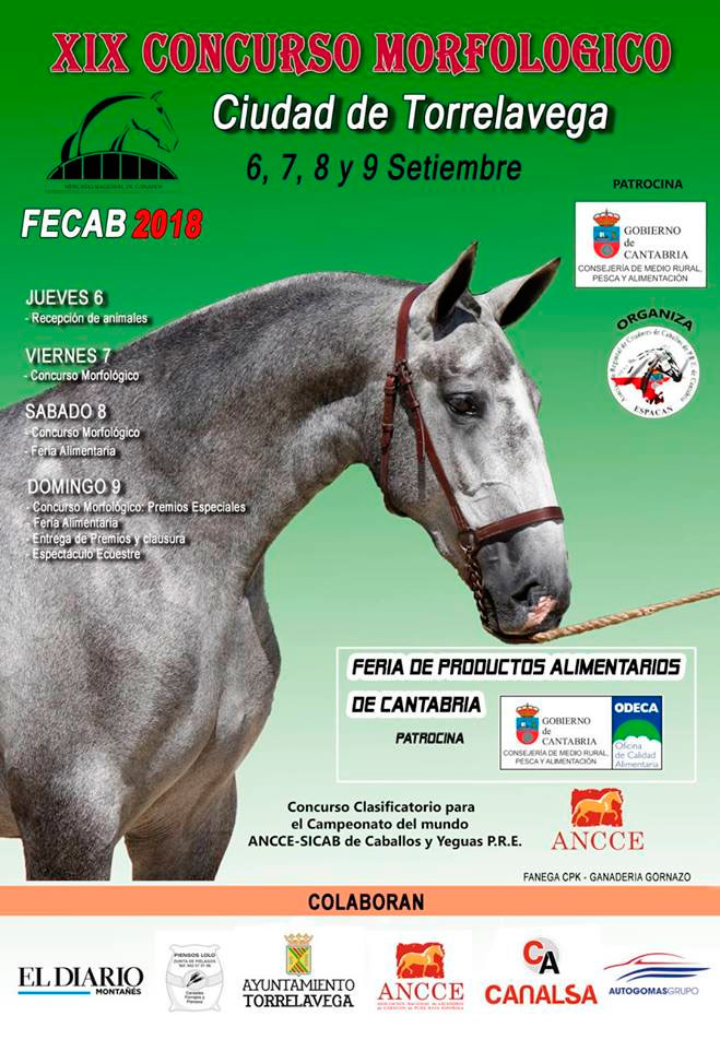 ConcursoMorfologico2018