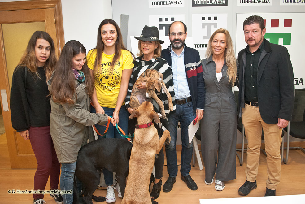 FeriaAdopcion2018
