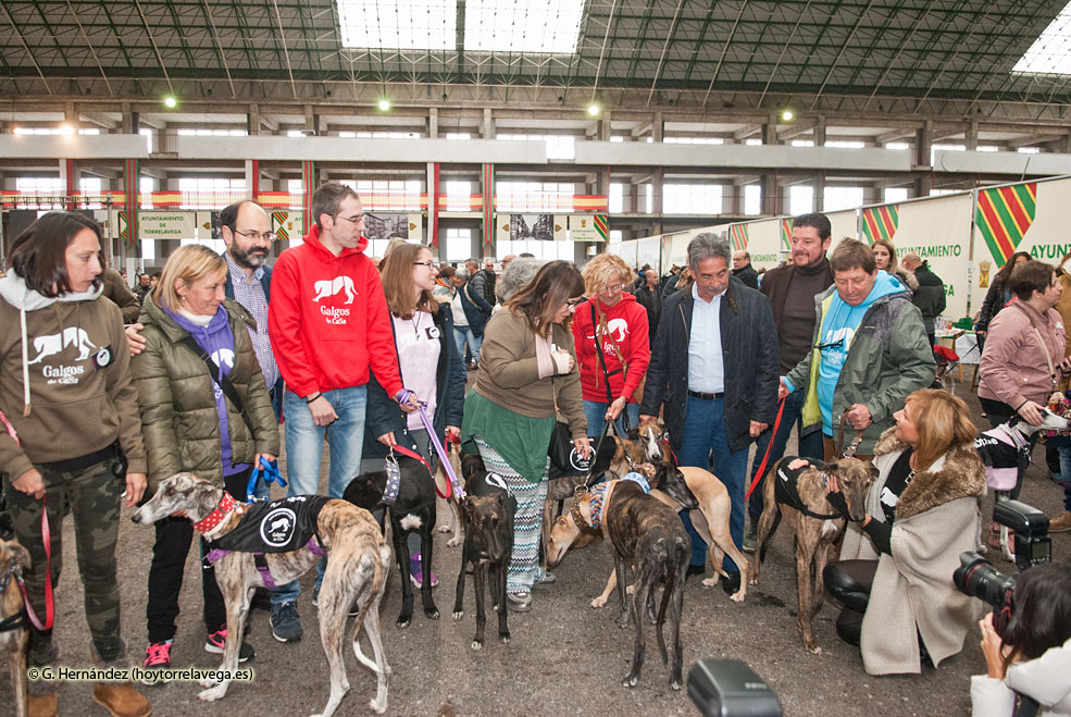 FeriaAdopcion2018Apertura