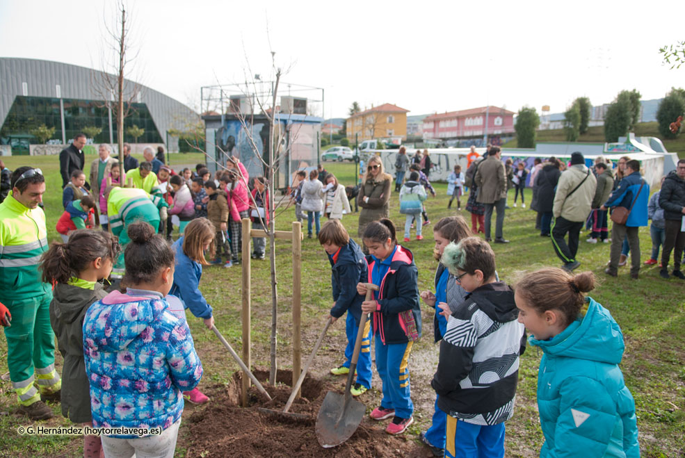 TorrelavegaSolidaria2018