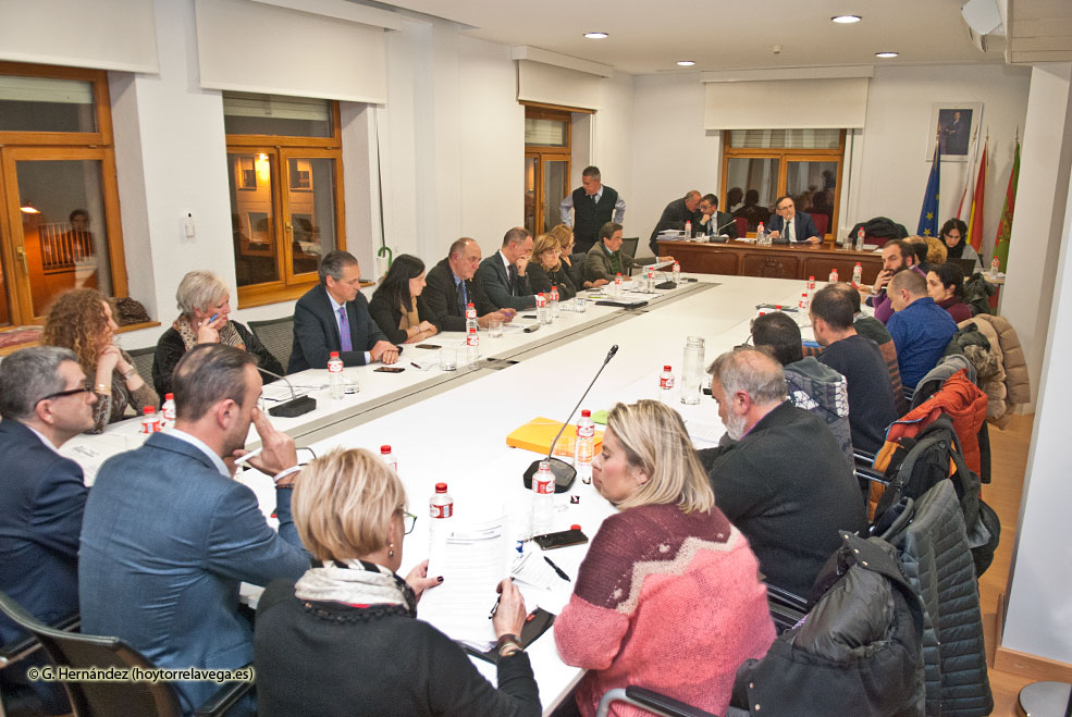 Pleno310119