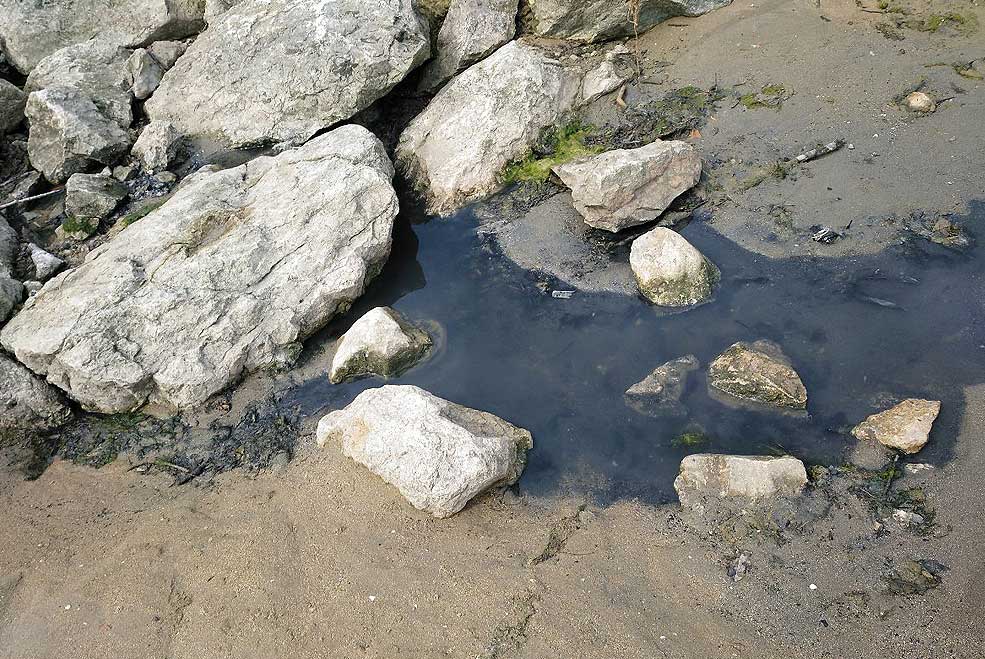 MiengoUsilVertidoFecales