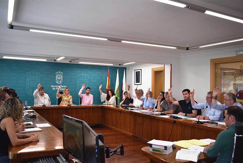 PielagosPleno2019