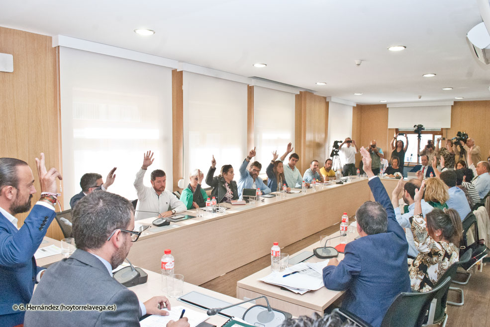 PlenoPresupuestos2019