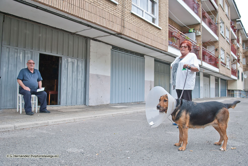 SancionPerrosPeligrosos