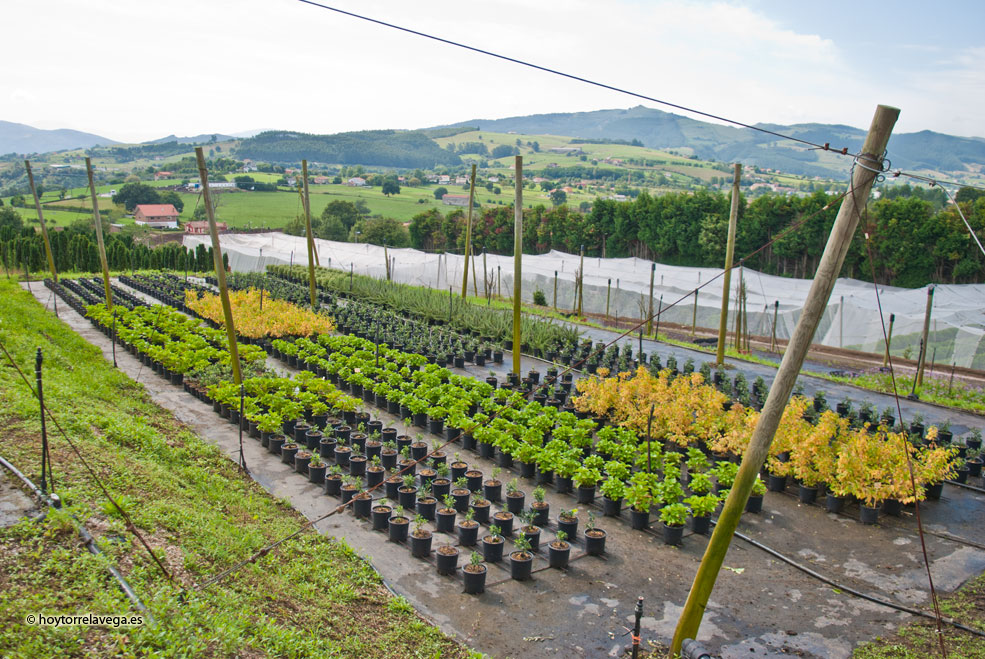 SercaInstalaciones09
