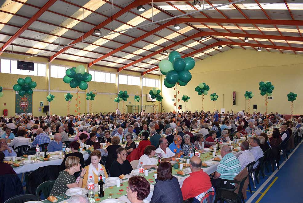 PielagosJornadaMayores2019