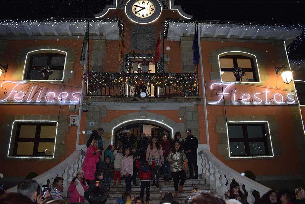 PielagosNavidadEncendido201