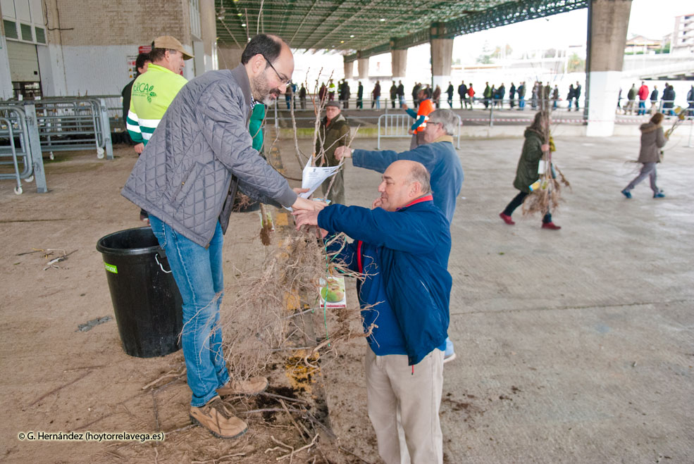 PSOEUrracaArbolesEntrega20