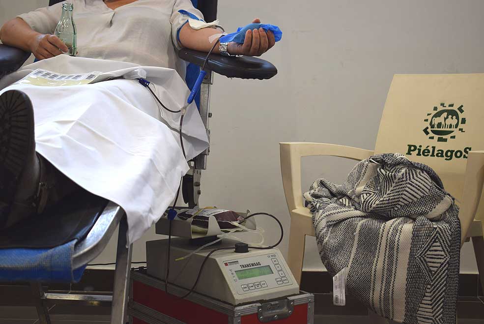 PielagosDonacionSangre