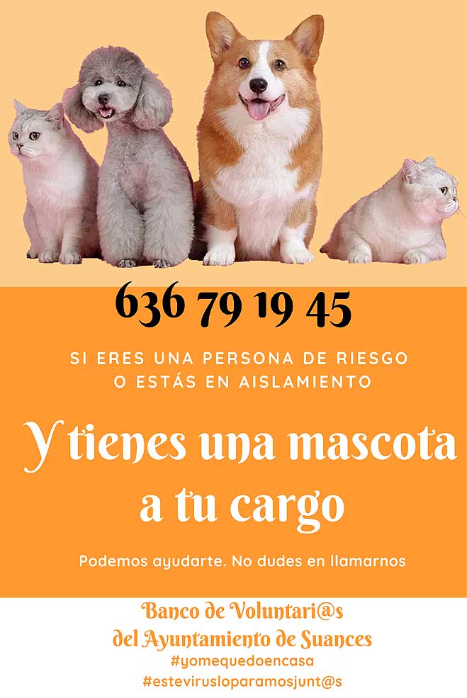 SuancesCovidmascotas
