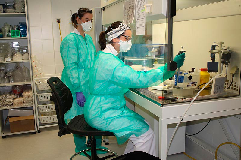 IdivalLaboratorio