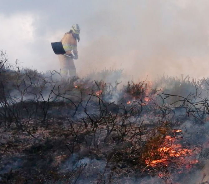 IncendioAbril202001
