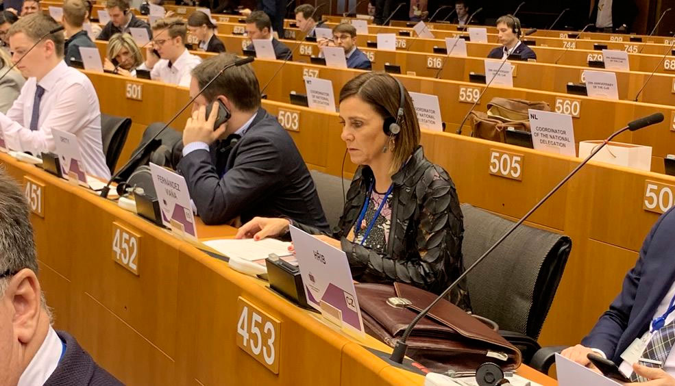 PaulaFernandezComiteEuropeo