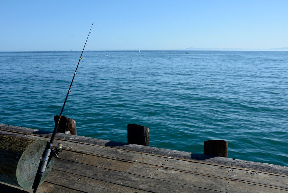 Pesca