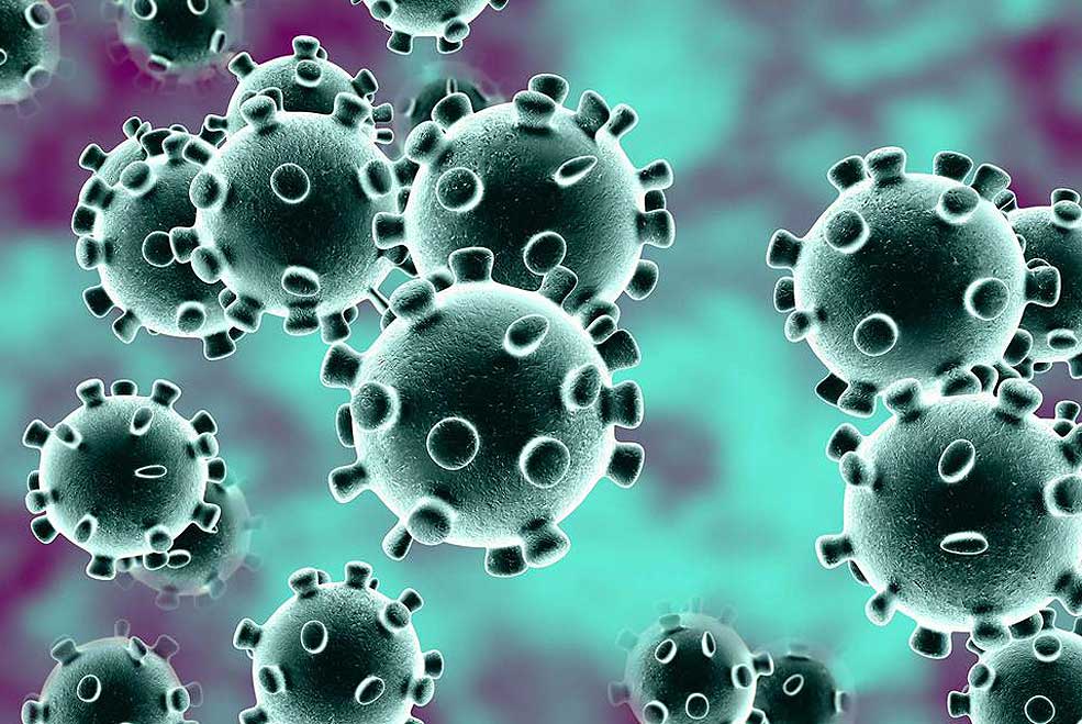 coronavirus05