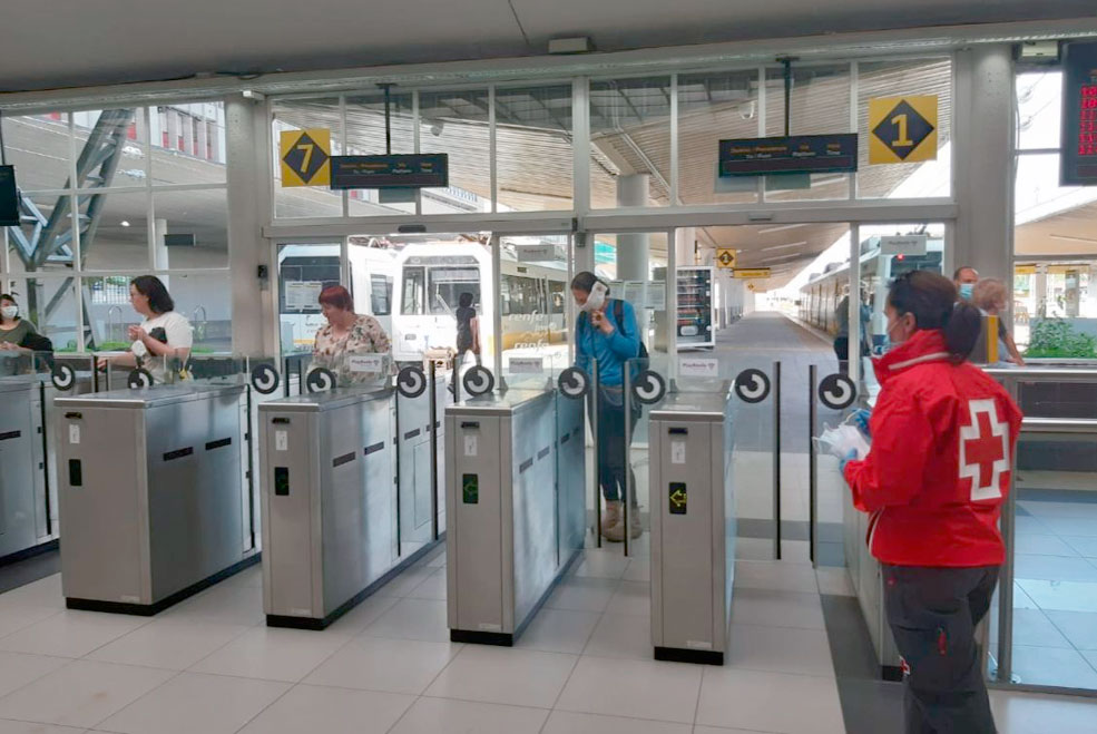 MascarillasRepartoFeve