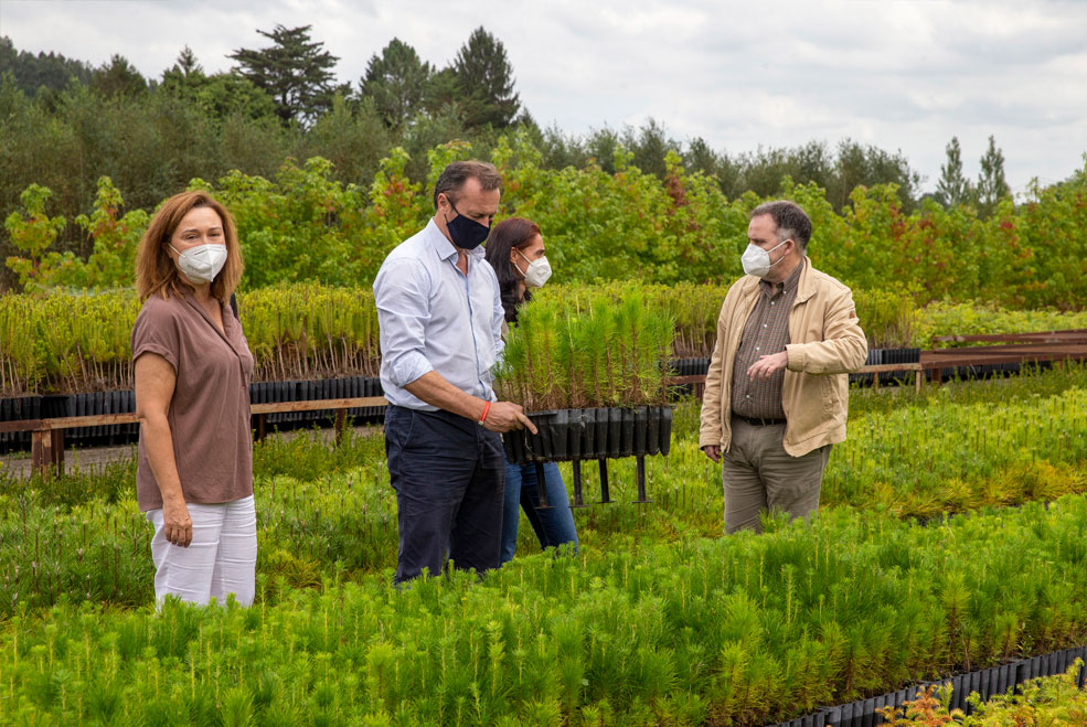 El Centro Forestal de Villapresente produce unas 250.000 plantas de 30 especies BlancoCentroForestalVillapresente