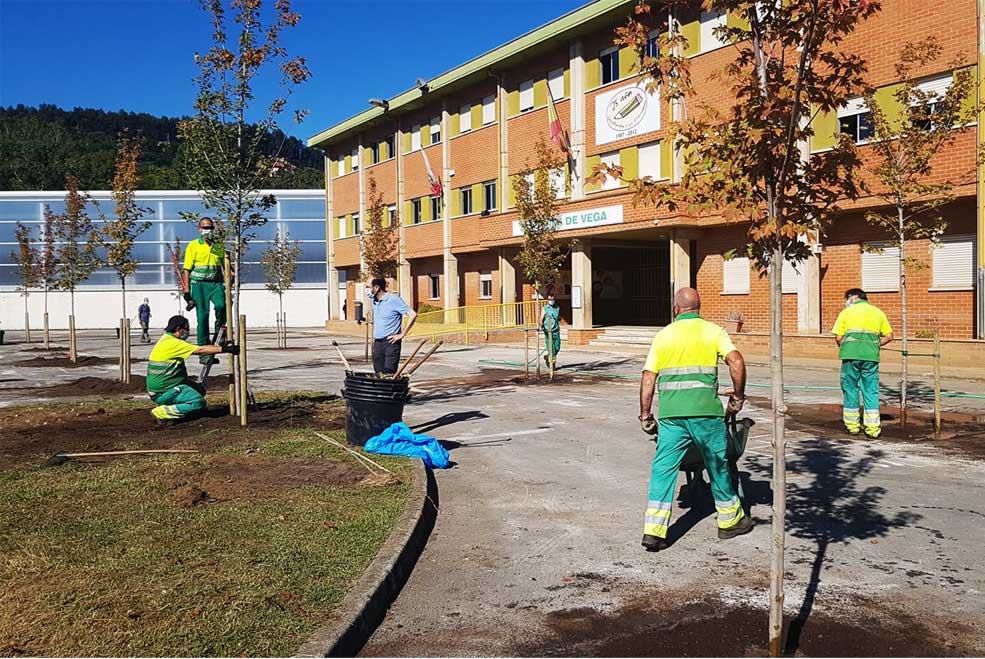 ColegioMiesdeVegaarboles