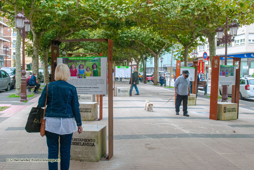 ExposicionBajaVision