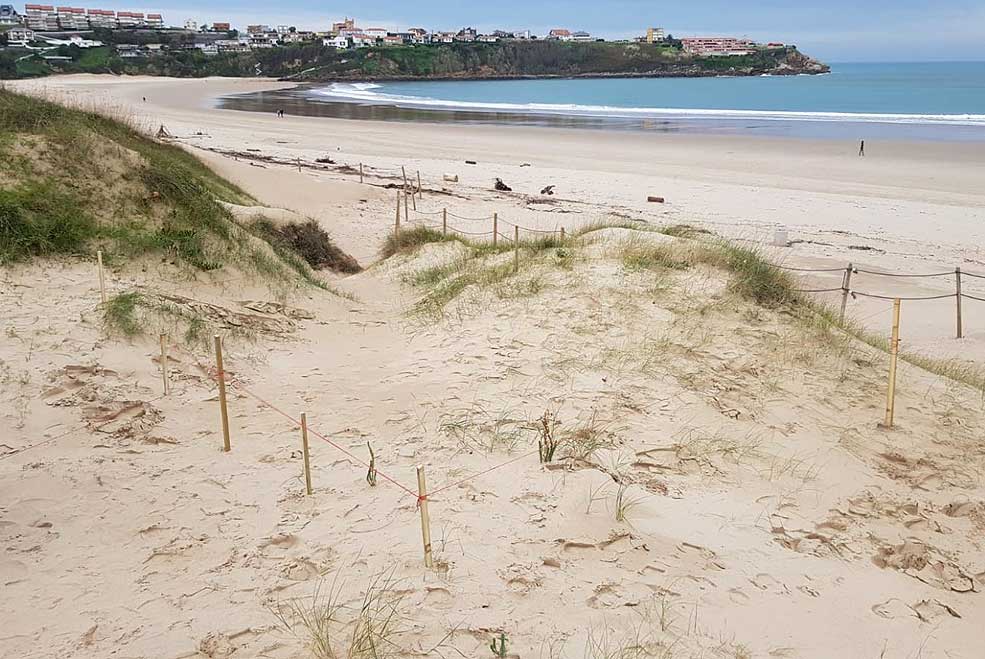 La zona de dunas de la playa de La Concha tendrá dos nuevos miradores SuancesLaConchaDunas