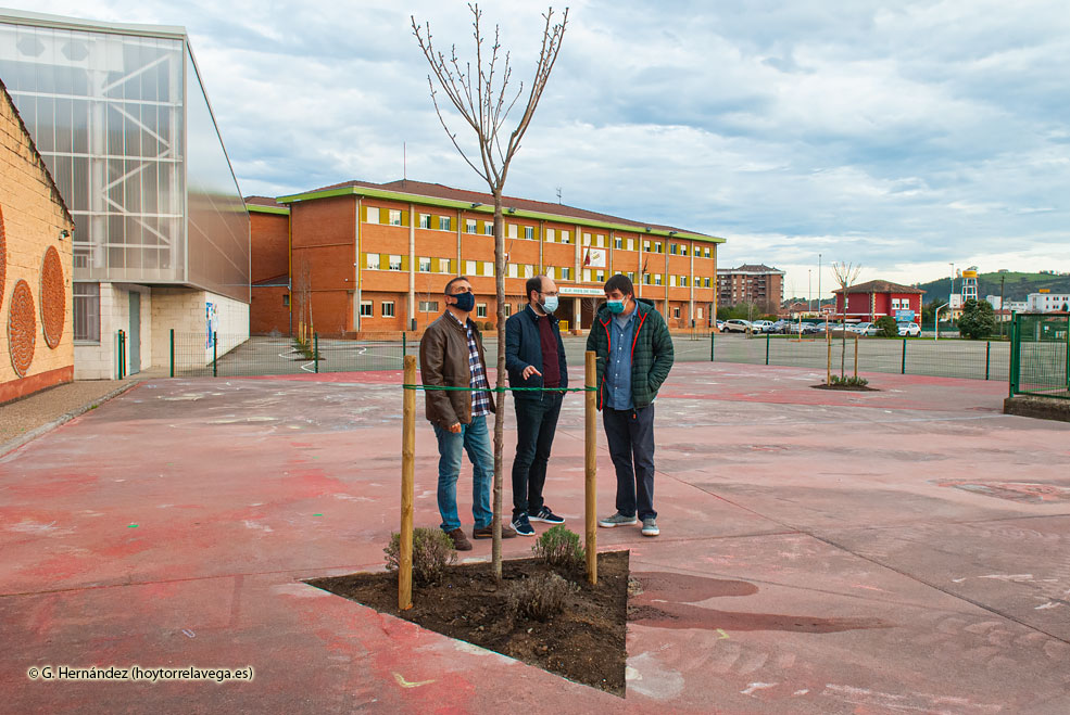 UrracaMiesDeVegaArboles