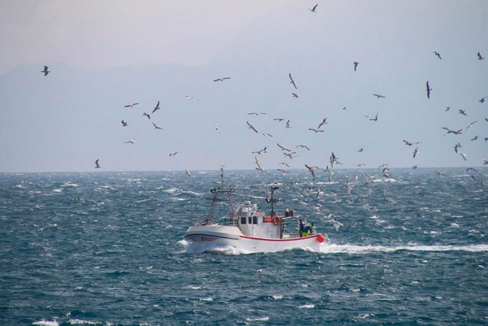 Sanidad prepara una estrategia para garantizar la seguridad de las industrias pesqueras durante la costera del bocarte BarcoPesquero