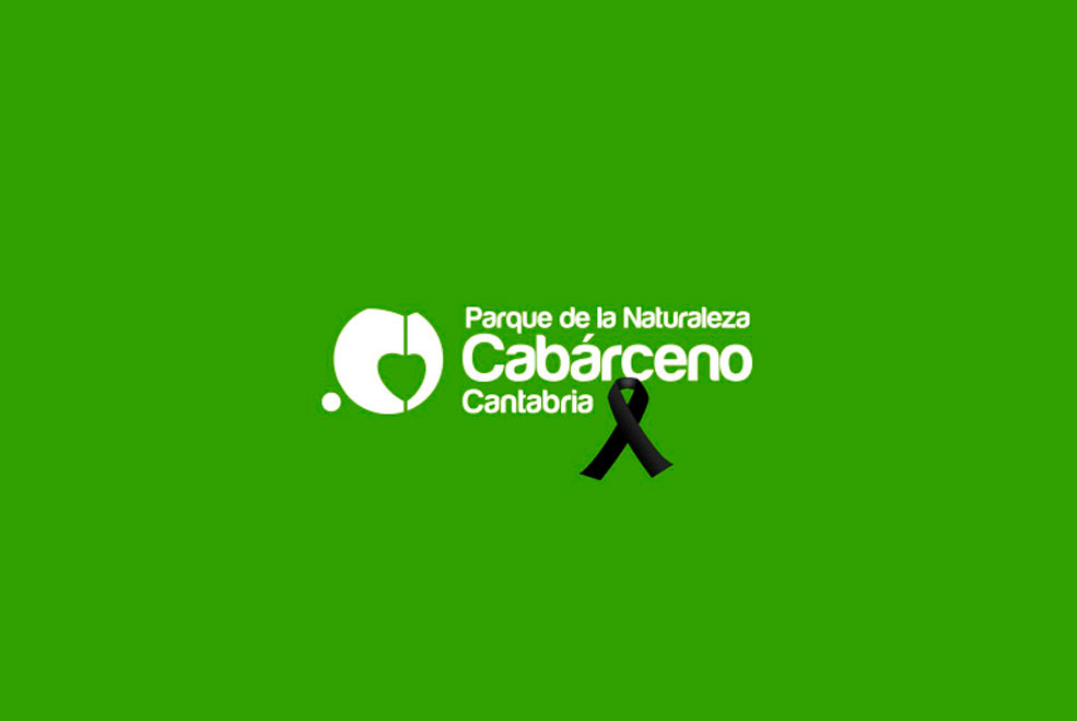 CabarcenoLogoFallecido