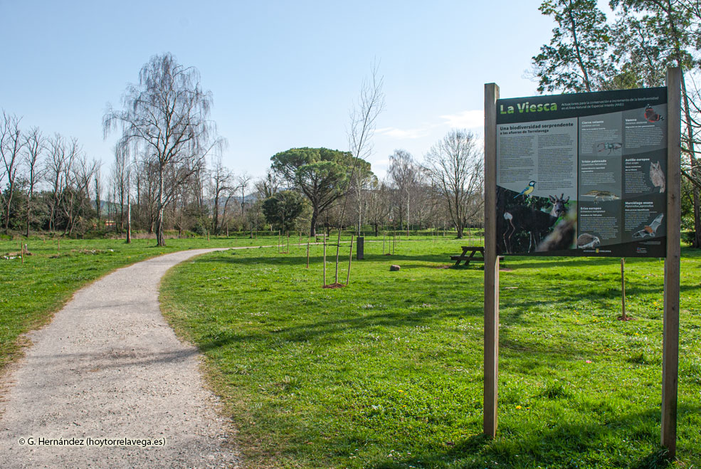 LaViescaCampas02