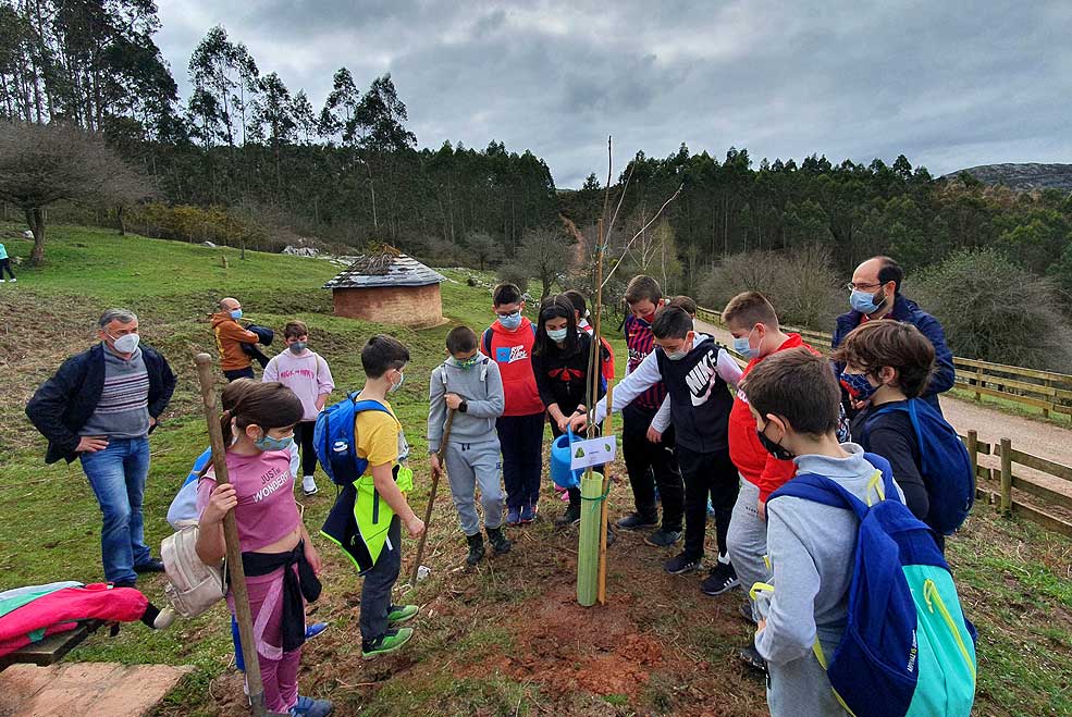 DiadelArbolColegioDobra2021