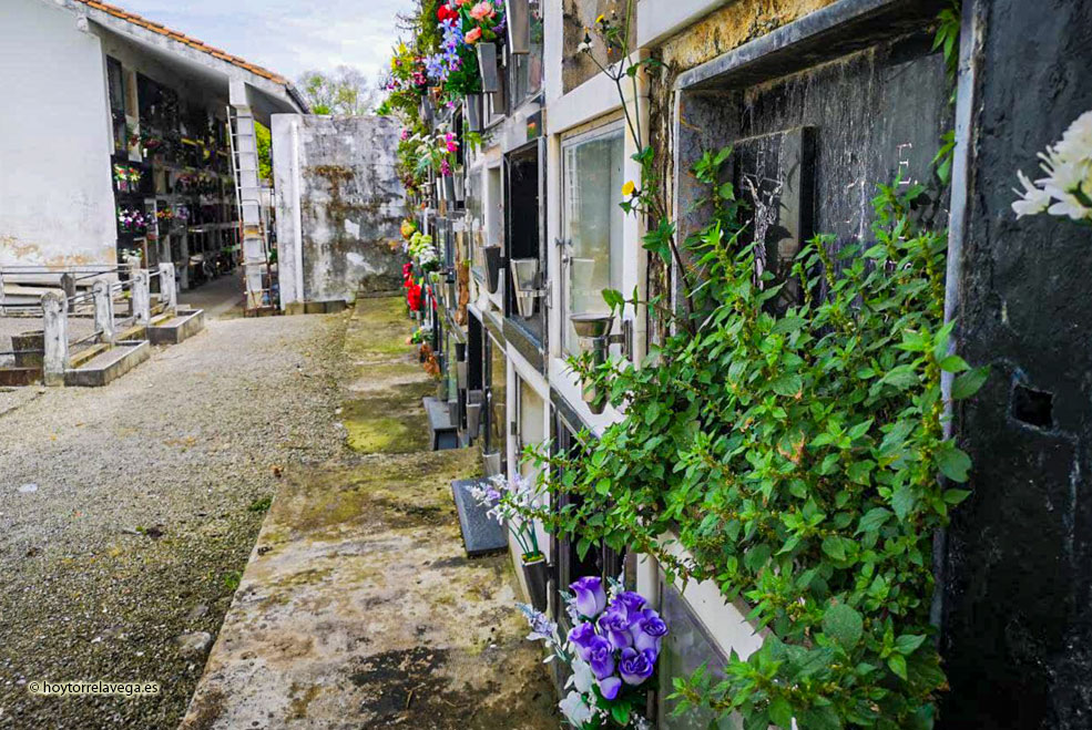 CementerioLlamaMaleza01