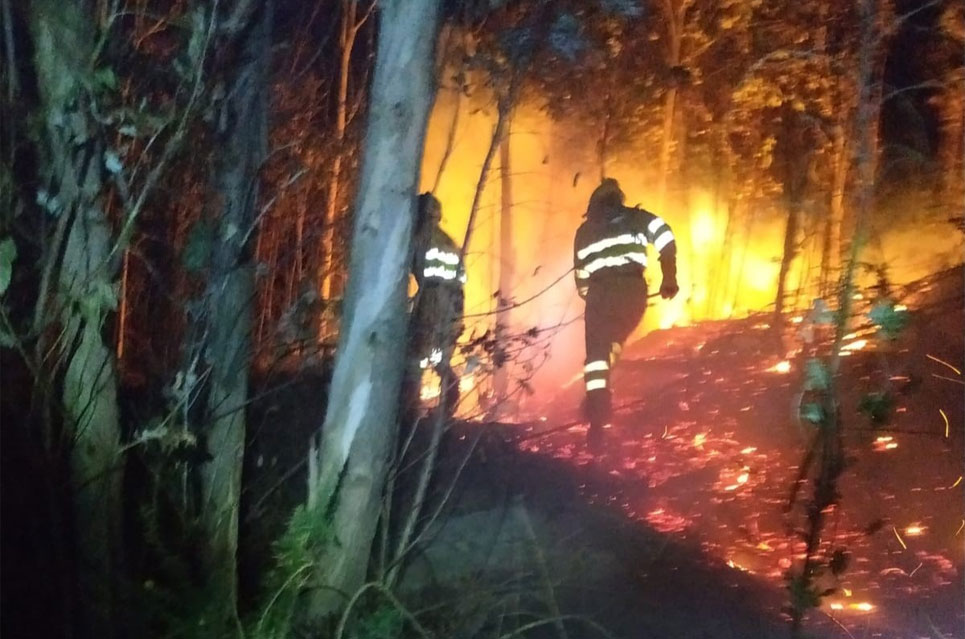 Blanco reconoce la “incansable y vital” labor del Operativo de prevención y lucha contra incendios forestales IncendioLucha