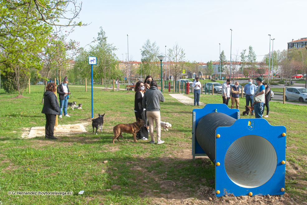 ParquePerrosCampus06