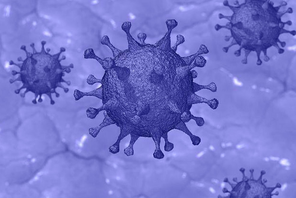 Coronavirus06