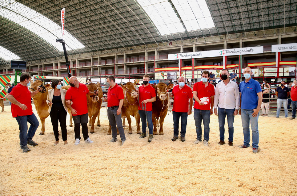 BlancoConcursoRazaLimusin21