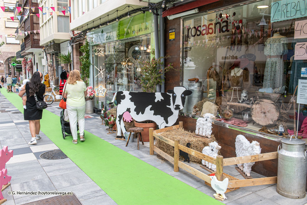 EscaparateCompartidoCalleAncha21