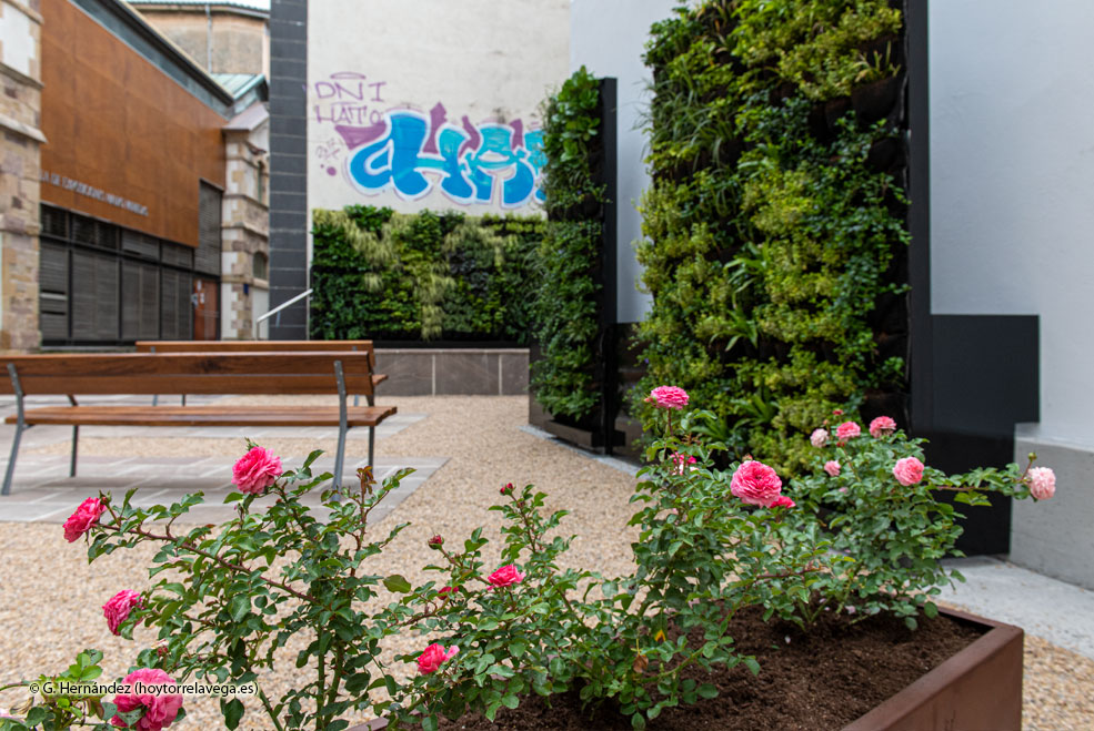 JardinVerticalConchaEspina