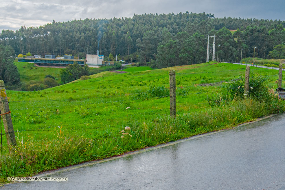 Torrelavega sustituirá eucaliptos por especies autóctonas en dos parcelas municipales CementerioRioCaboCarretera