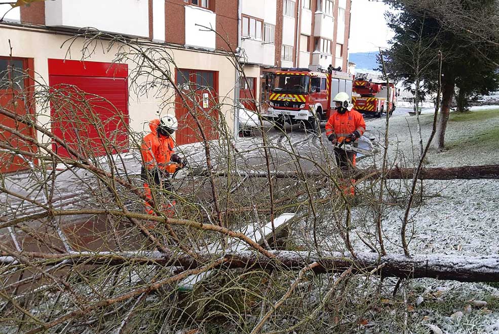 El 112 recibe 137 llamadas y gestiona 80 incidencias por las intensas precipitaciones 112retiradaarbolesreinosa