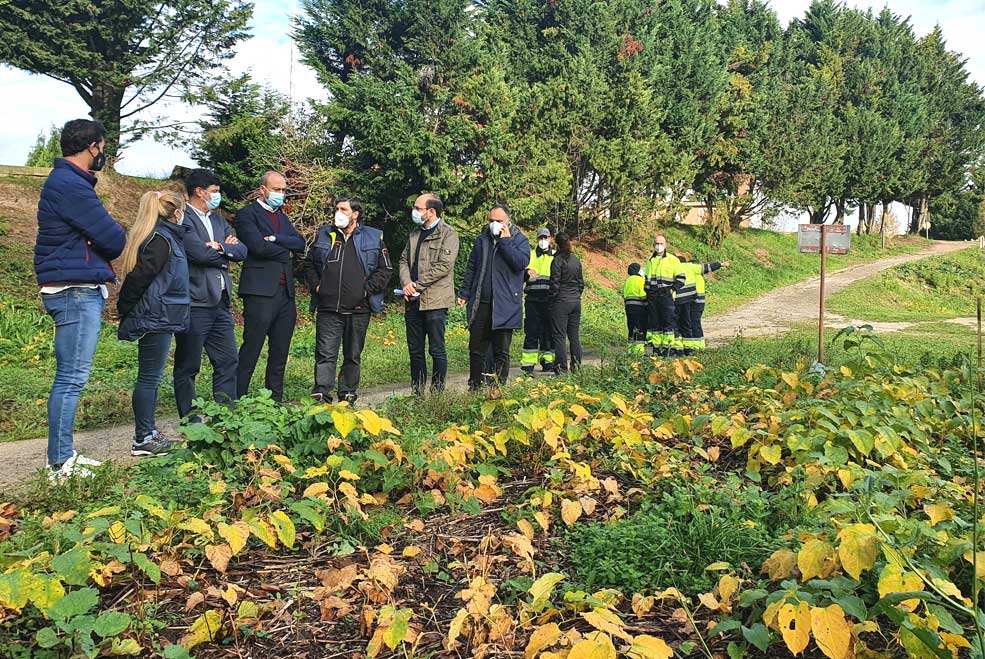 PatatalCorporaciones2021