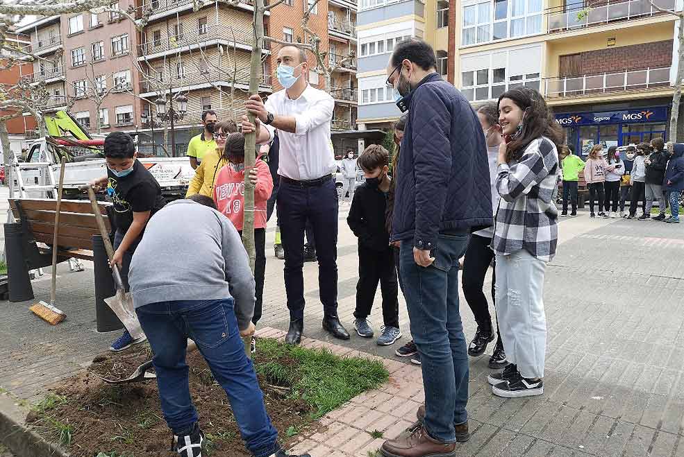 PlantacionAvenidaEspana