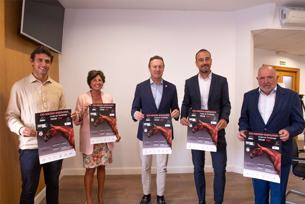 CocnursoMorfologico22