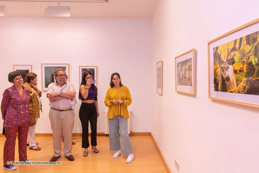 El CNFoto acoge la exposición ‘Del documentalismo a la creatividad. Fotografía joven contemporánea’ ExpoDocumentalismo