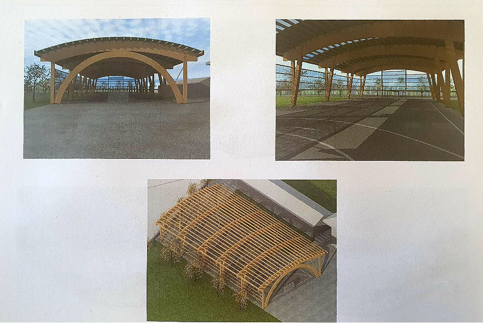 GanzoPistaCubiertaInfografia